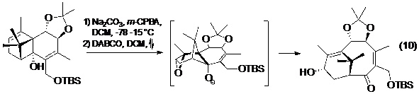 Phản ứng tách phân mảnh trong tổng hợp toàn phần Taxol của Holton (9) và Wender (10)